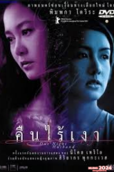 คืนไร้เงา One Night Husband (2003)